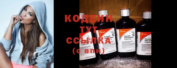 шишки Белокуриха