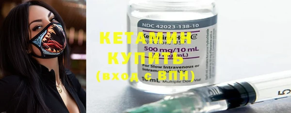 шишки Белокуриха