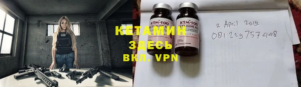 шишки Белокуриха
