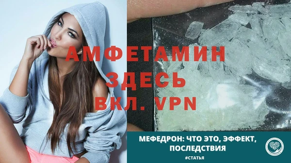 шишки Белокуриха