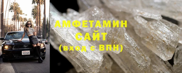 шишки Белокуриха