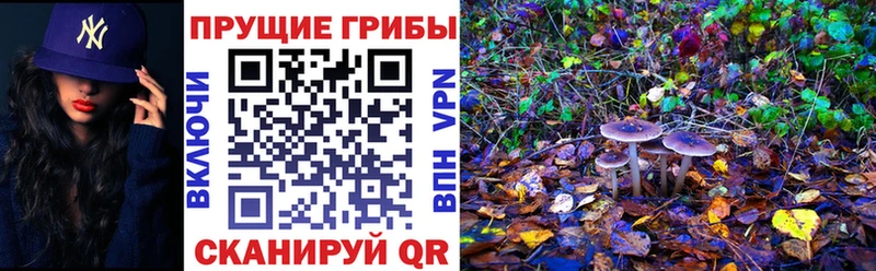 Псилоцибиновые грибы Magic Shrooms  Павловск 