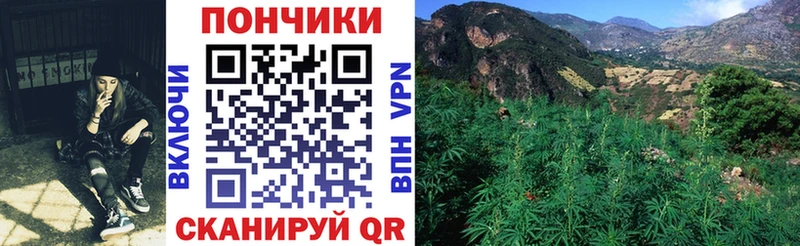 даркнет клад  Павловск  Марихуана сатива 
